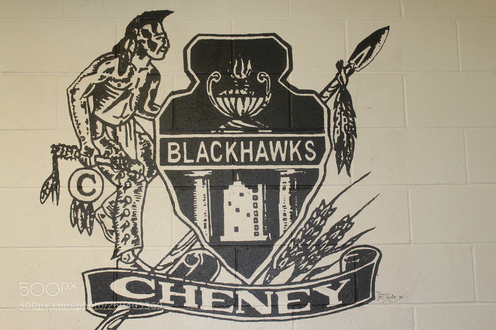 Canon EOS 1200D (EOS Rebel T5 / EOS Kiss X70 / EOS Hi) sample photo. Blackhawks photography