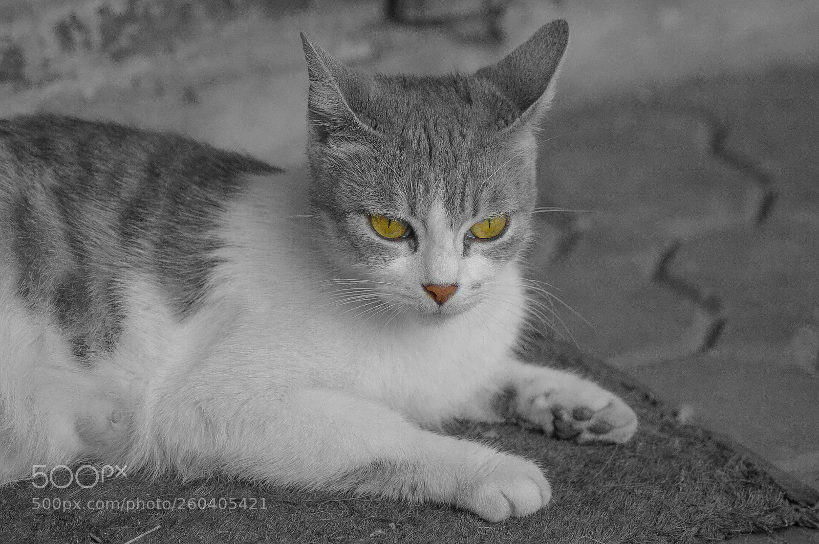 Nikon D3200 sample photo. Untitled photography