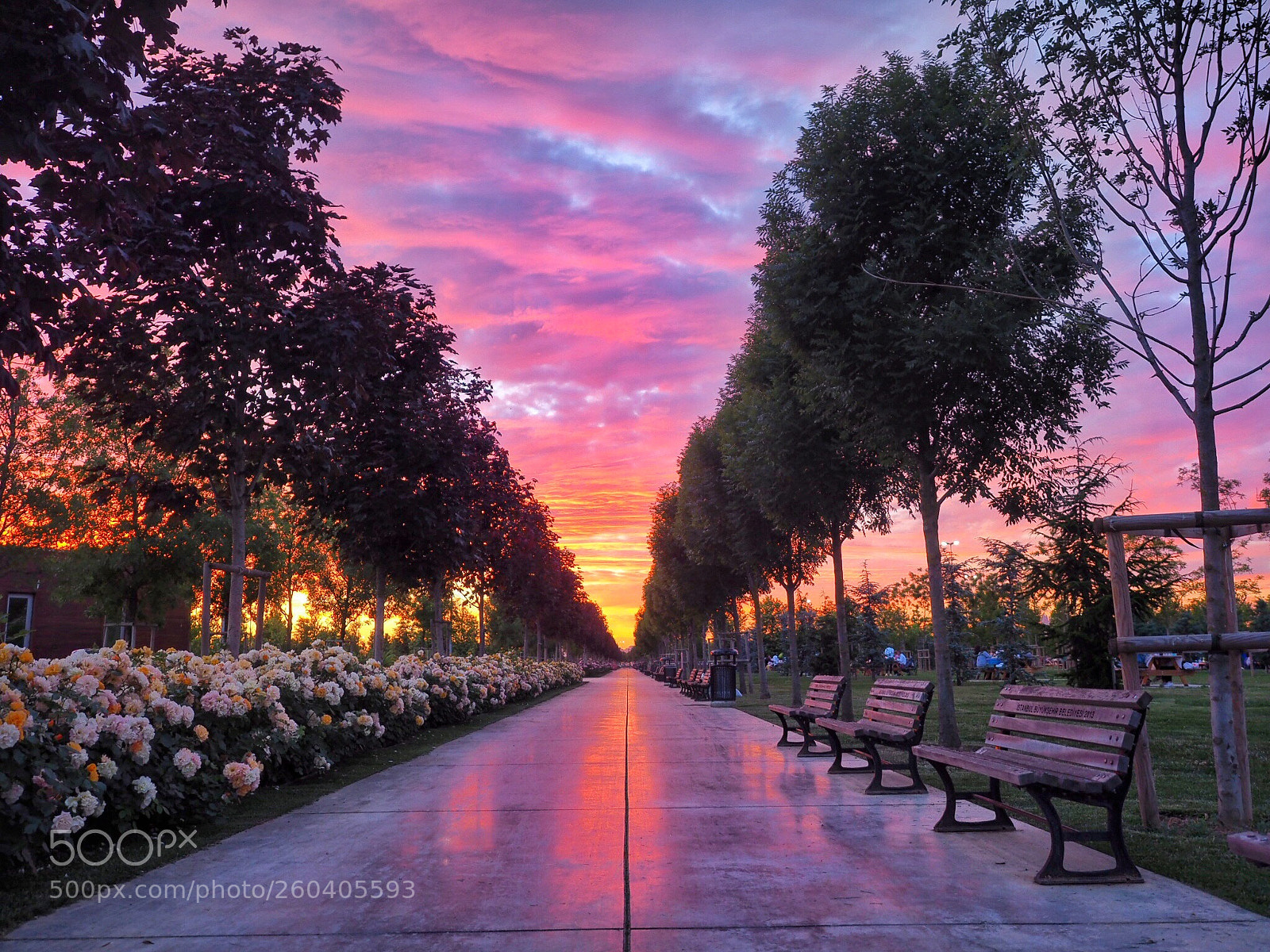 Olympus OM-D E-M10 II sample photo. Colorful sky over istanbul  photography