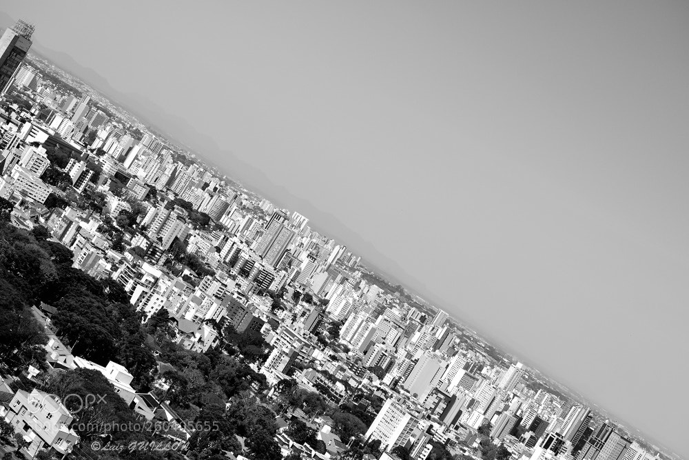 Nikon D500 sample photo. Curitiba, paraná, brasil. photography