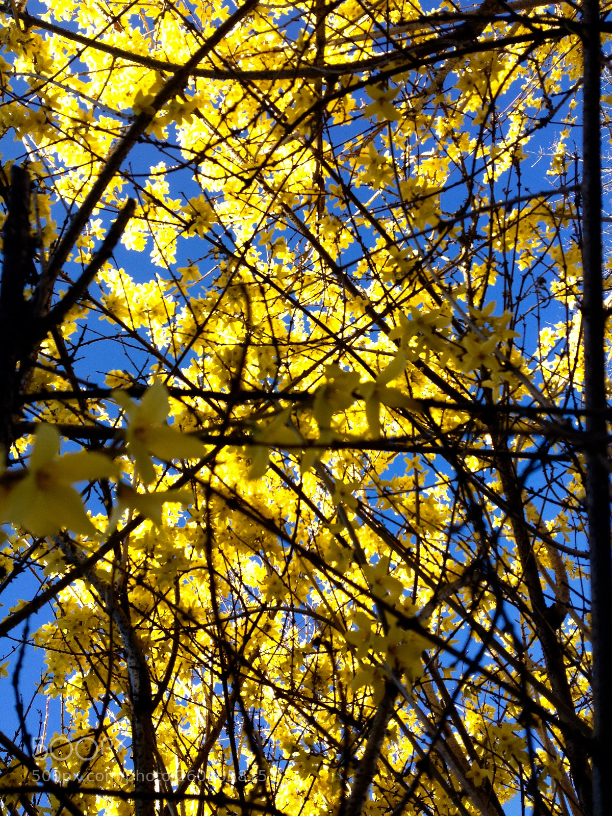 Apple iPhone 4S sample photo. Fullsizerender photography