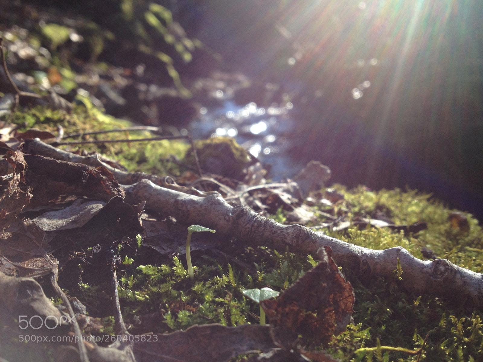 Apple iPhone 4S sample photo. Img photography