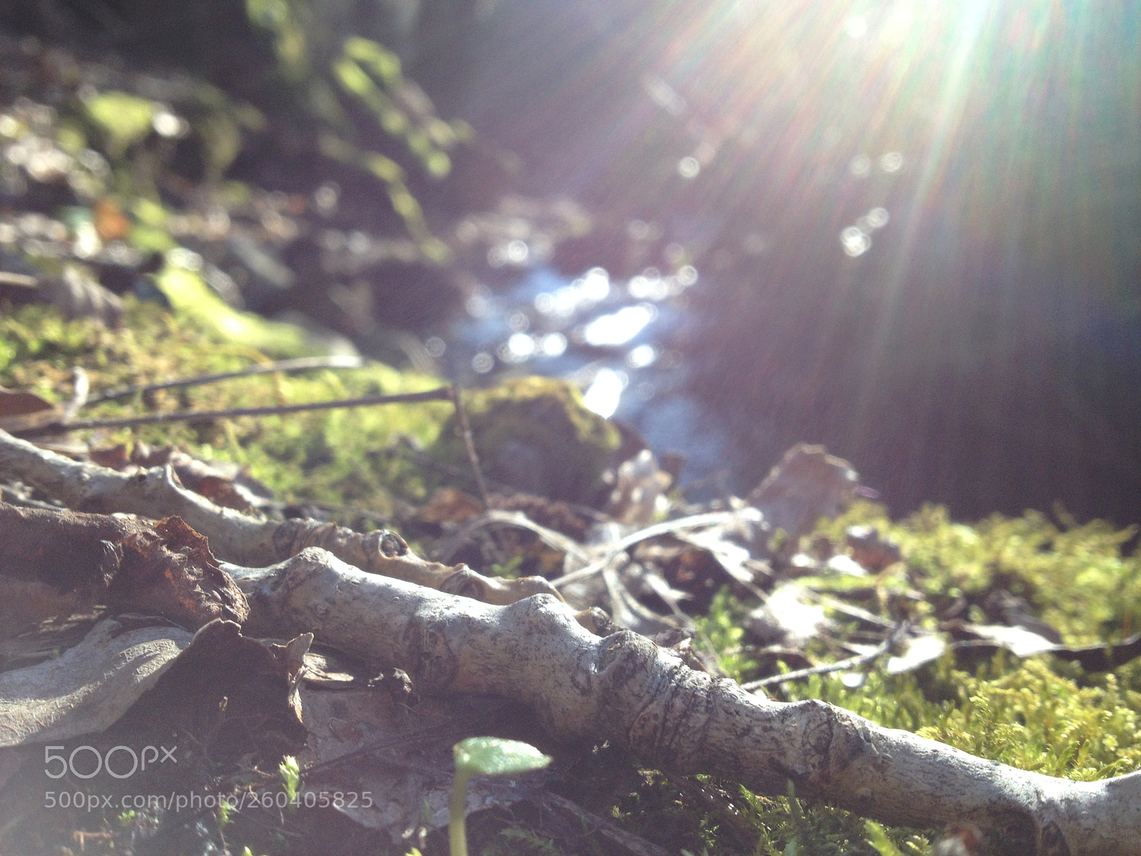 Apple iPhone 4S sample photo. Img photography