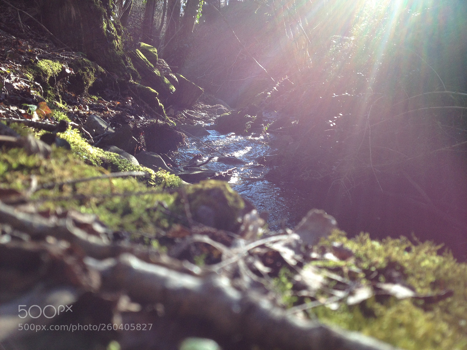 Apple iPhone 4S sample photo. Img photography