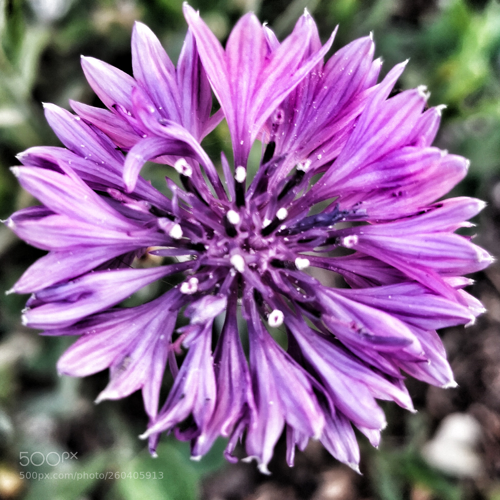 HUAWEI Mate 10 Pro sample photo. Untitled photography