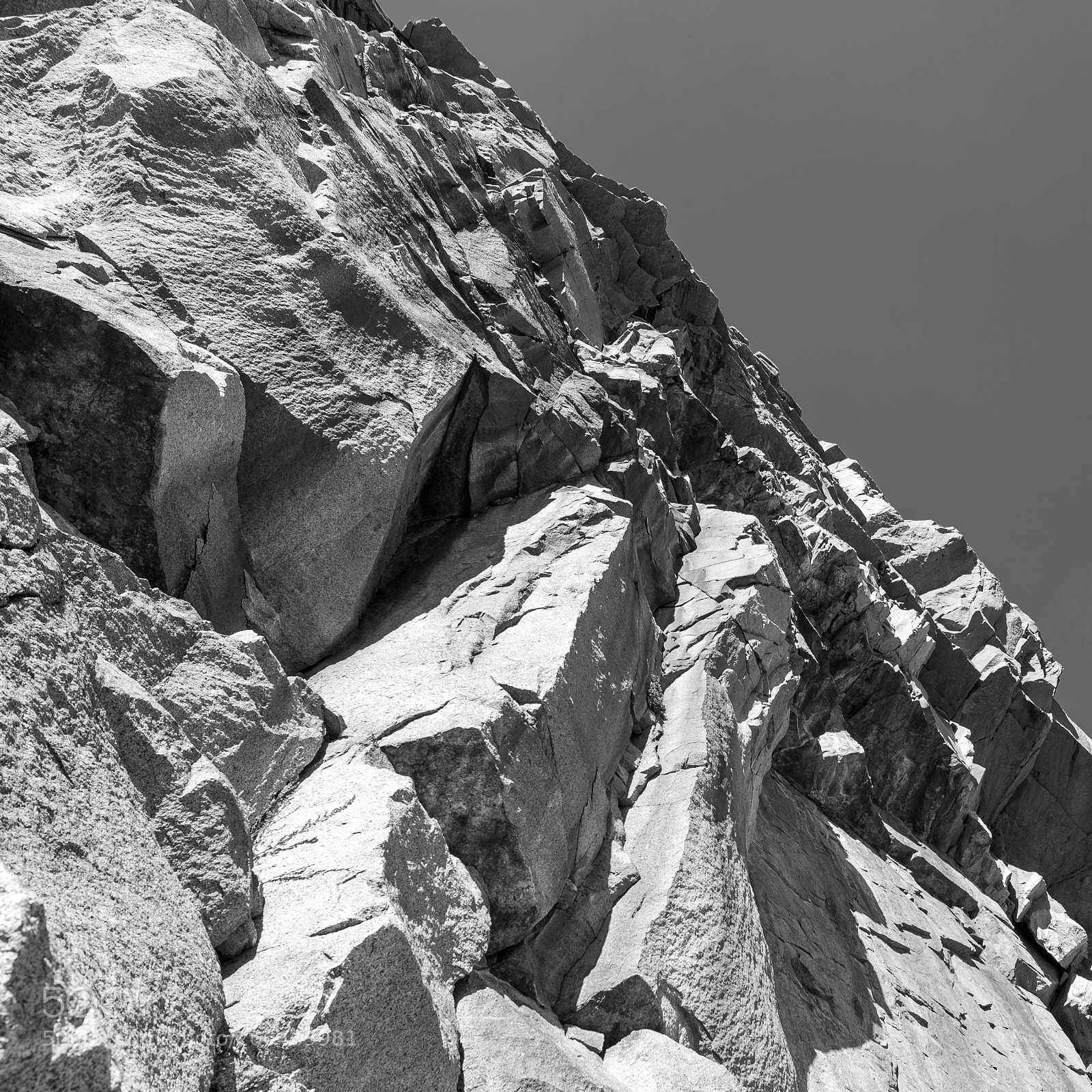 Nikon D750 sample photo. Tioga pass road photography