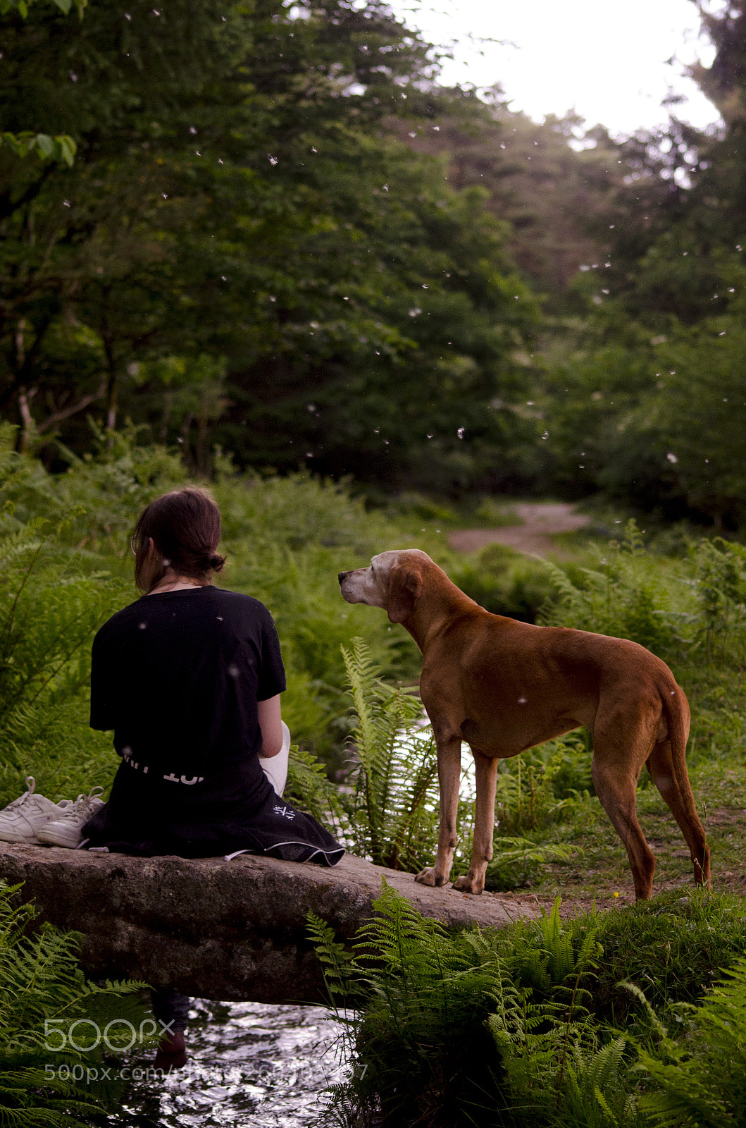 Nikon D7000 sample photo. Girl and her dog photography