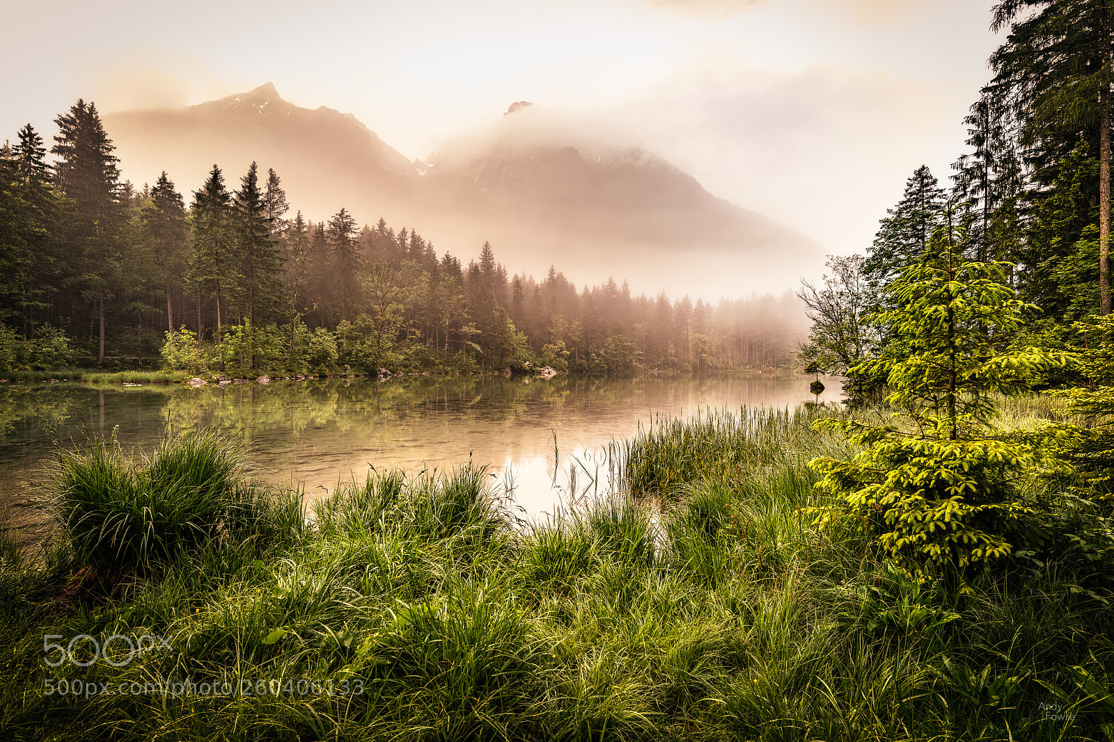Sony a7R III sample photo. The sound of silence photography