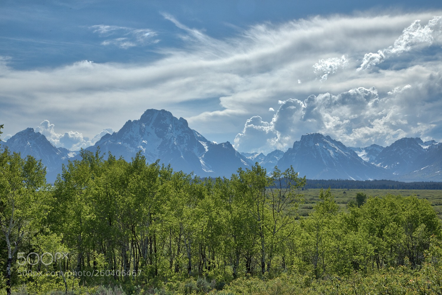Canon EOS 5D Mark IV sample photo. Blue mountains photography