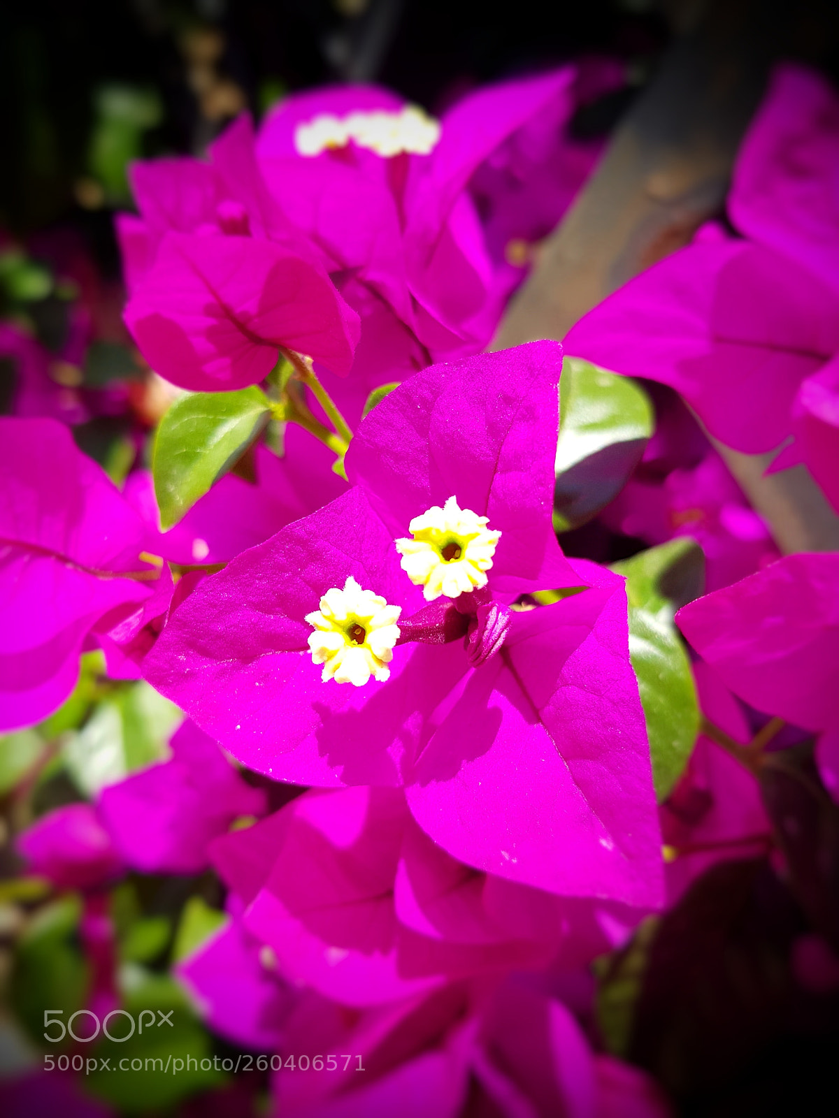 Samsung Galaxy S8 sample photo. Untitled photography