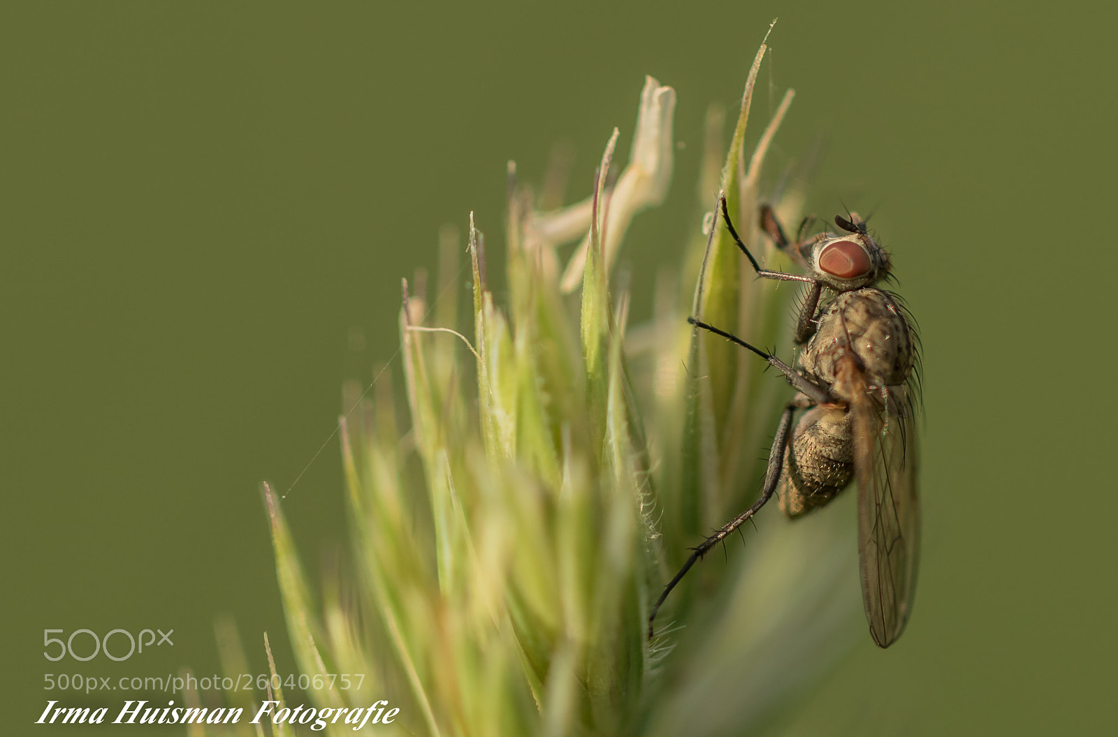 Canon EOS 7D Mark II sample photo. Vroeg in de ochtend photography
