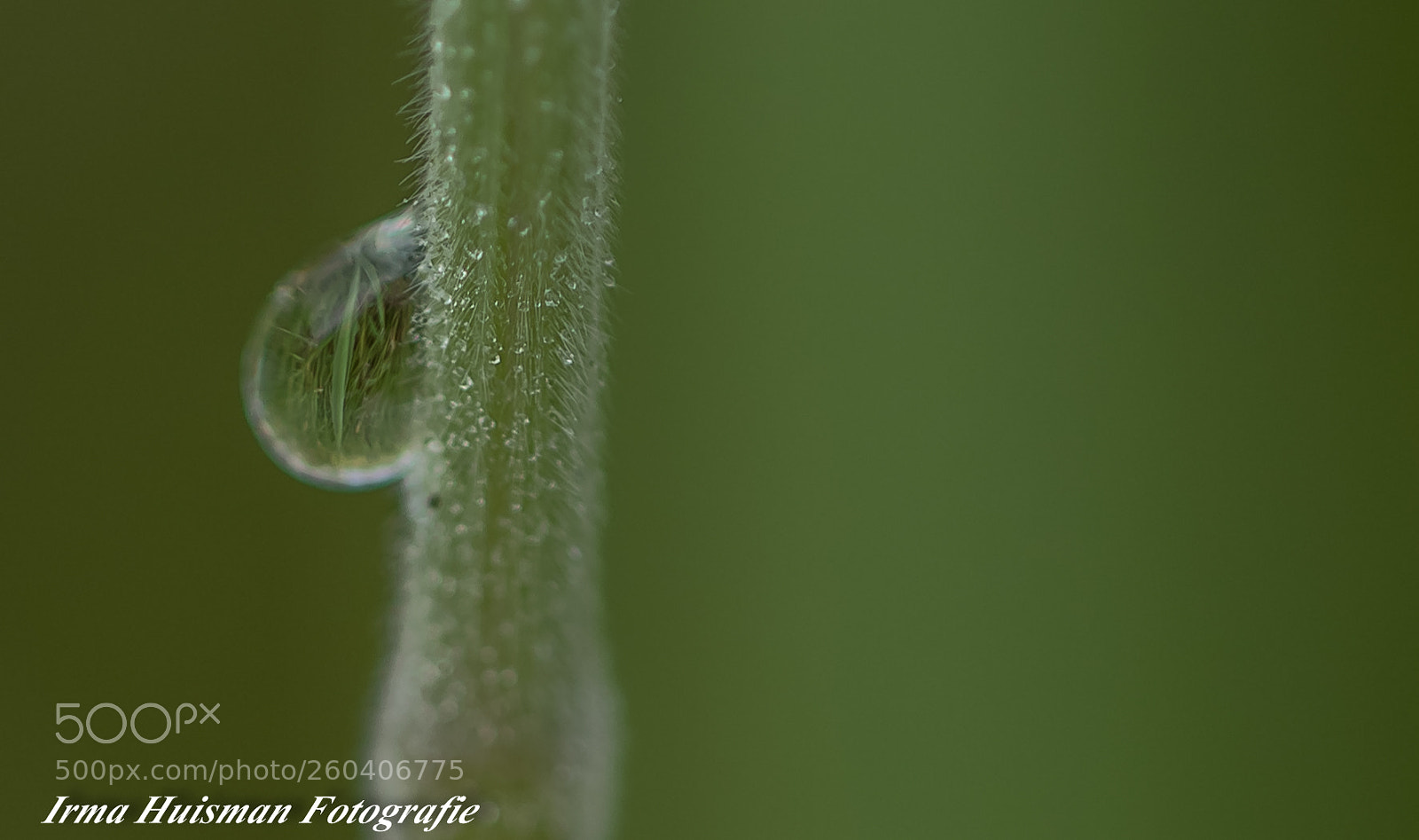 Canon EOS 7D Mark II sample photo. Vroeg in de ochtend photography