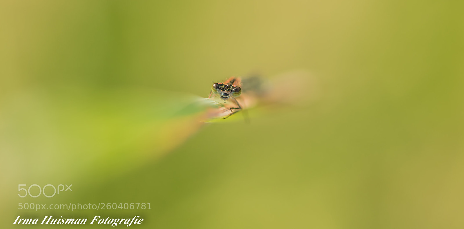 Canon EOS 7D Mark II sample photo. Vroeg in de ochtend photography