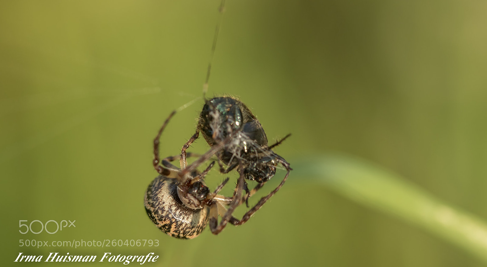 Canon EOS 7D Mark II sample photo. Vroeg in de ochtend photography