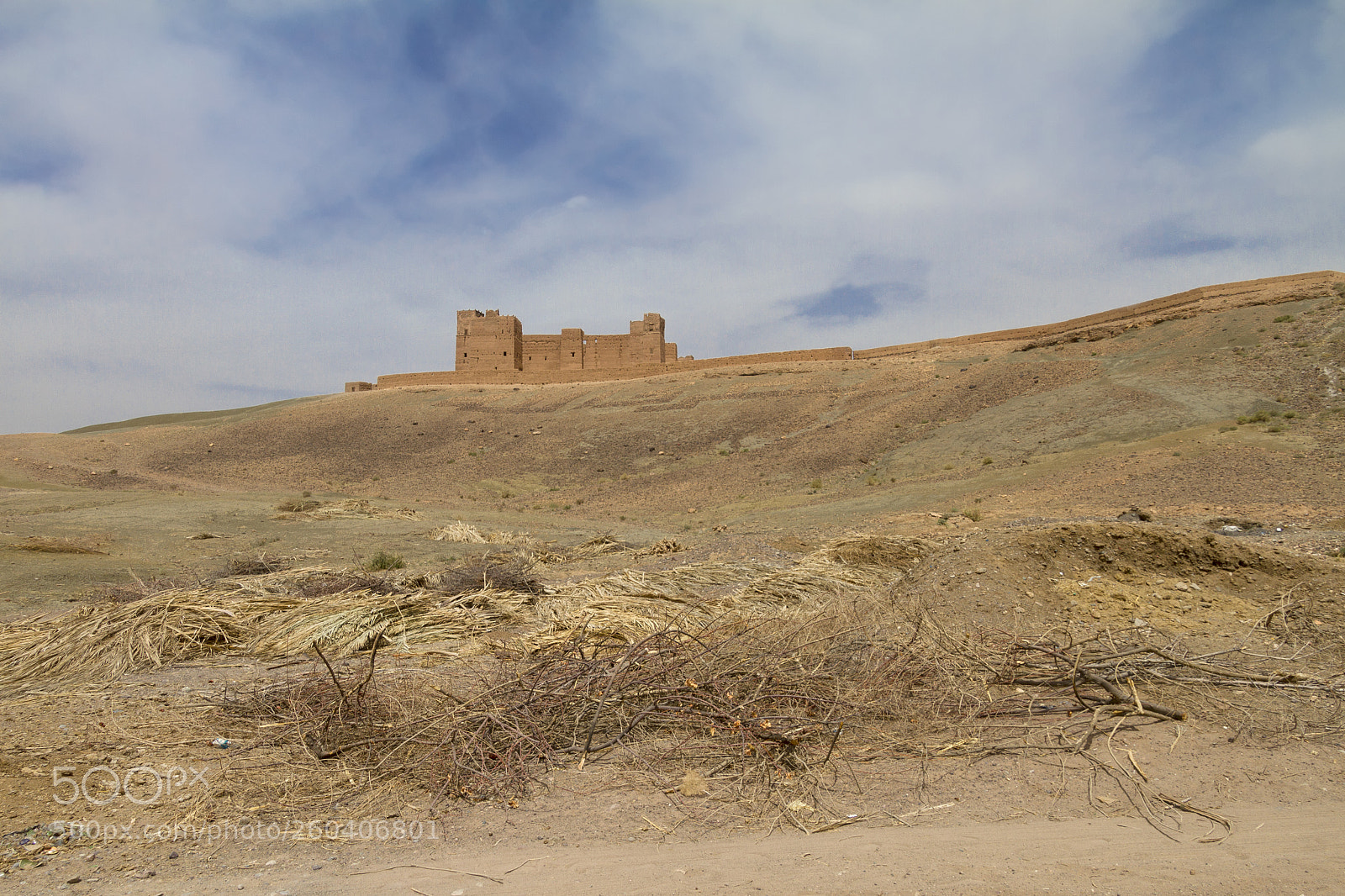 Canon EOS 7D sample photo. 2018-4115.jpg photography