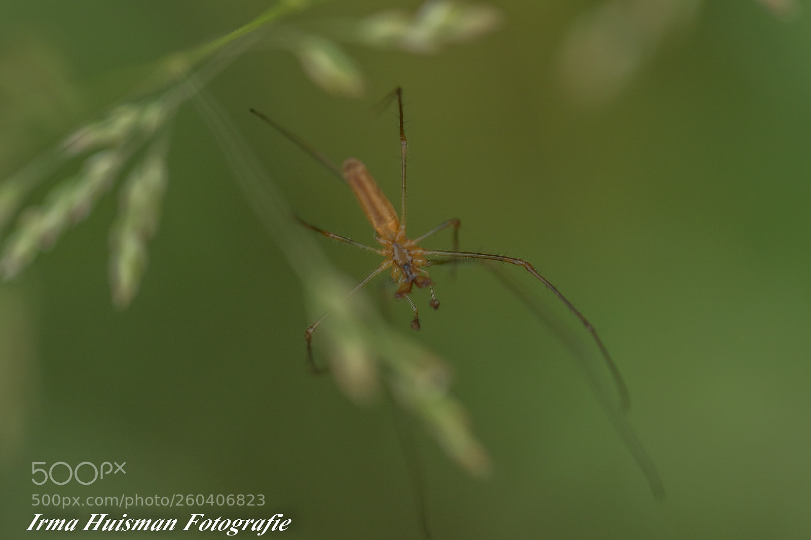 Canon EOS 7D Mark II sample photo. Vroeg in de ochtend photography