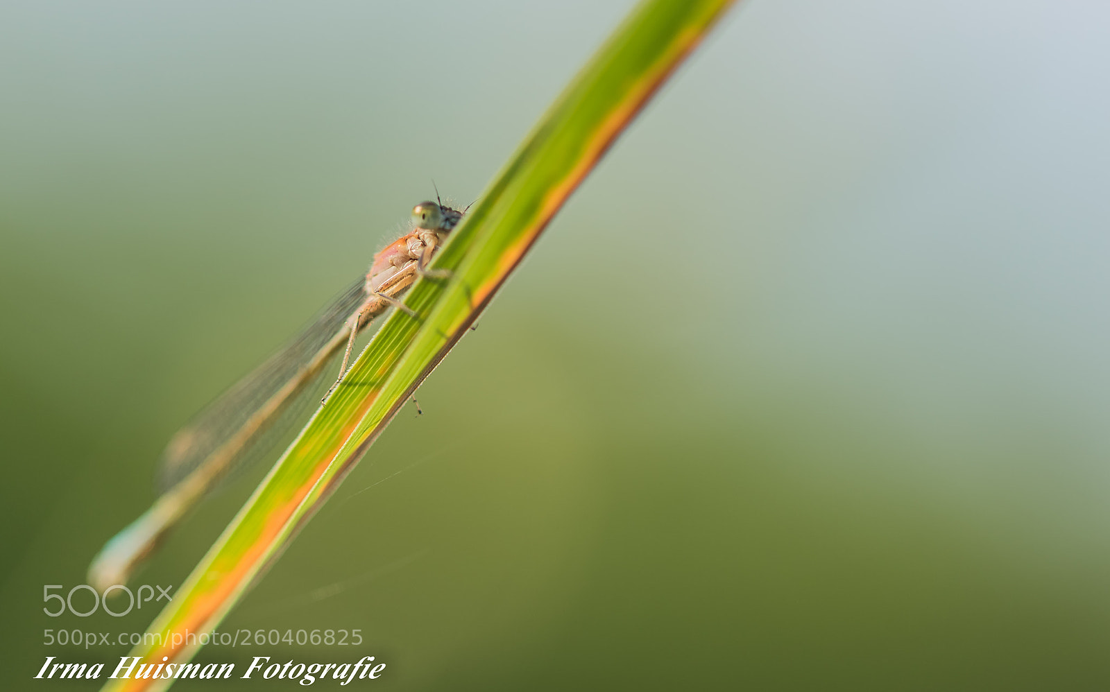 Canon EOS 7D Mark II sample photo. Vroeg in de ochtend photography