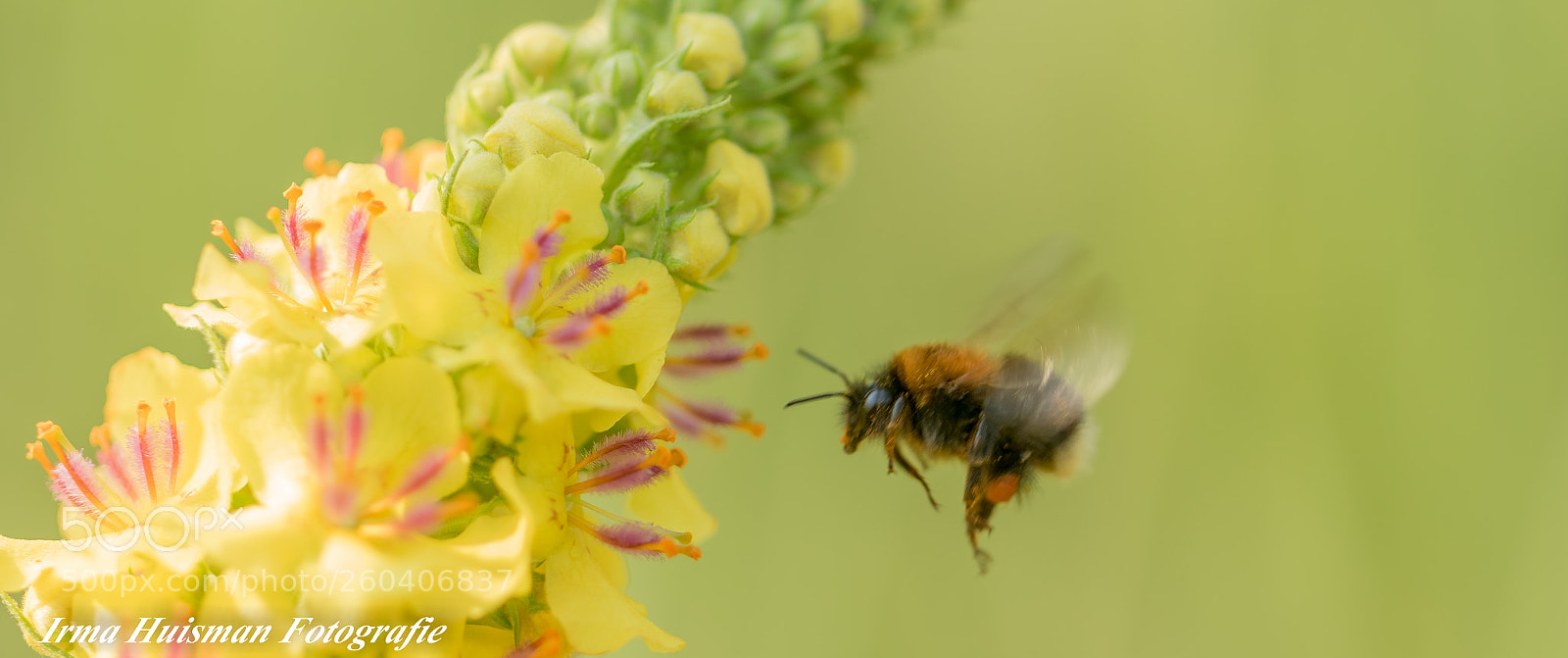 Canon EOS 7D Mark II sample photo. Vroeg in de ochtend photography