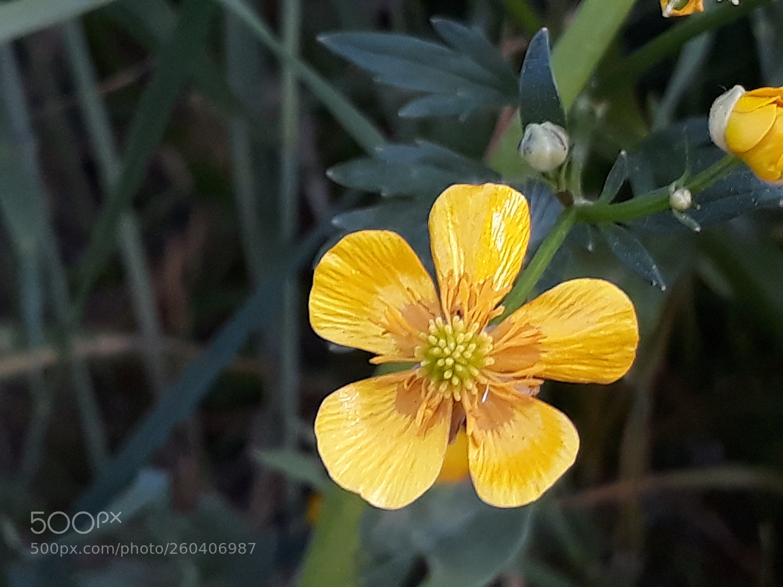 Samsung Galaxy J7 sample photo. Untitled photography
