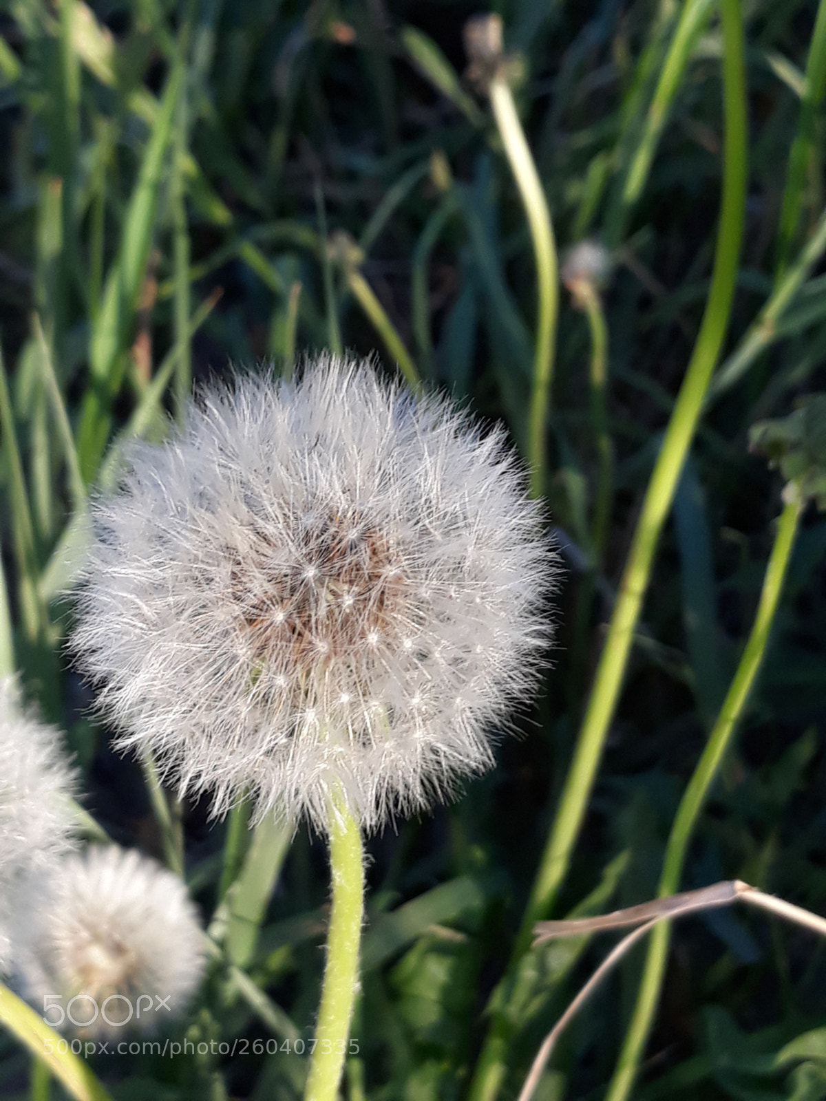 Samsung Galaxy J7 sample photo. Untitled photography