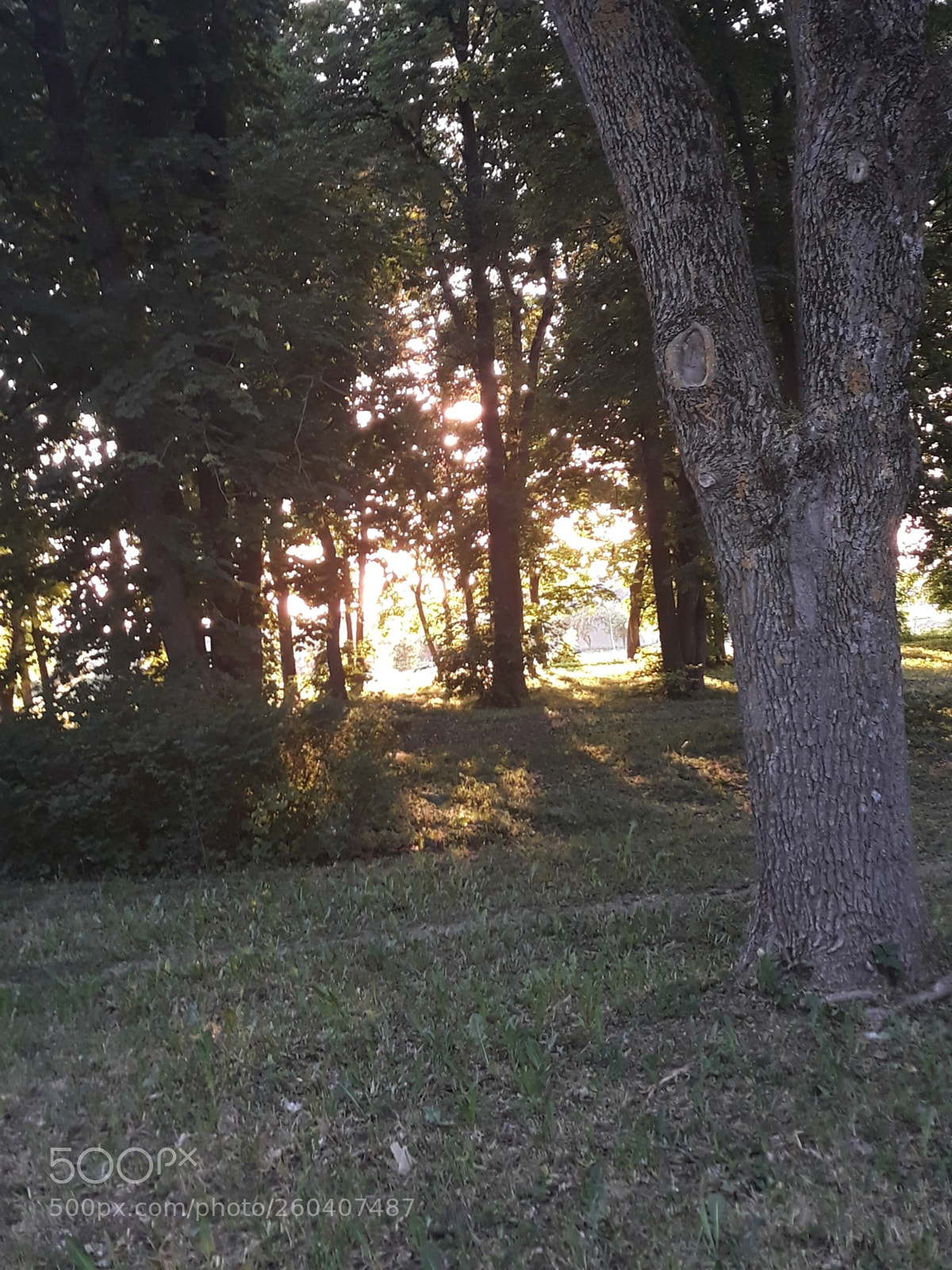 Samsung Galaxy J7 sample photo. Untitled photography