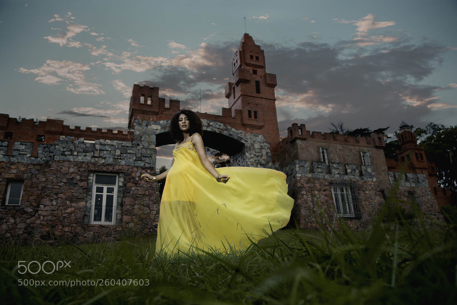 Canon EOS 6D sample photo. Yellow photography