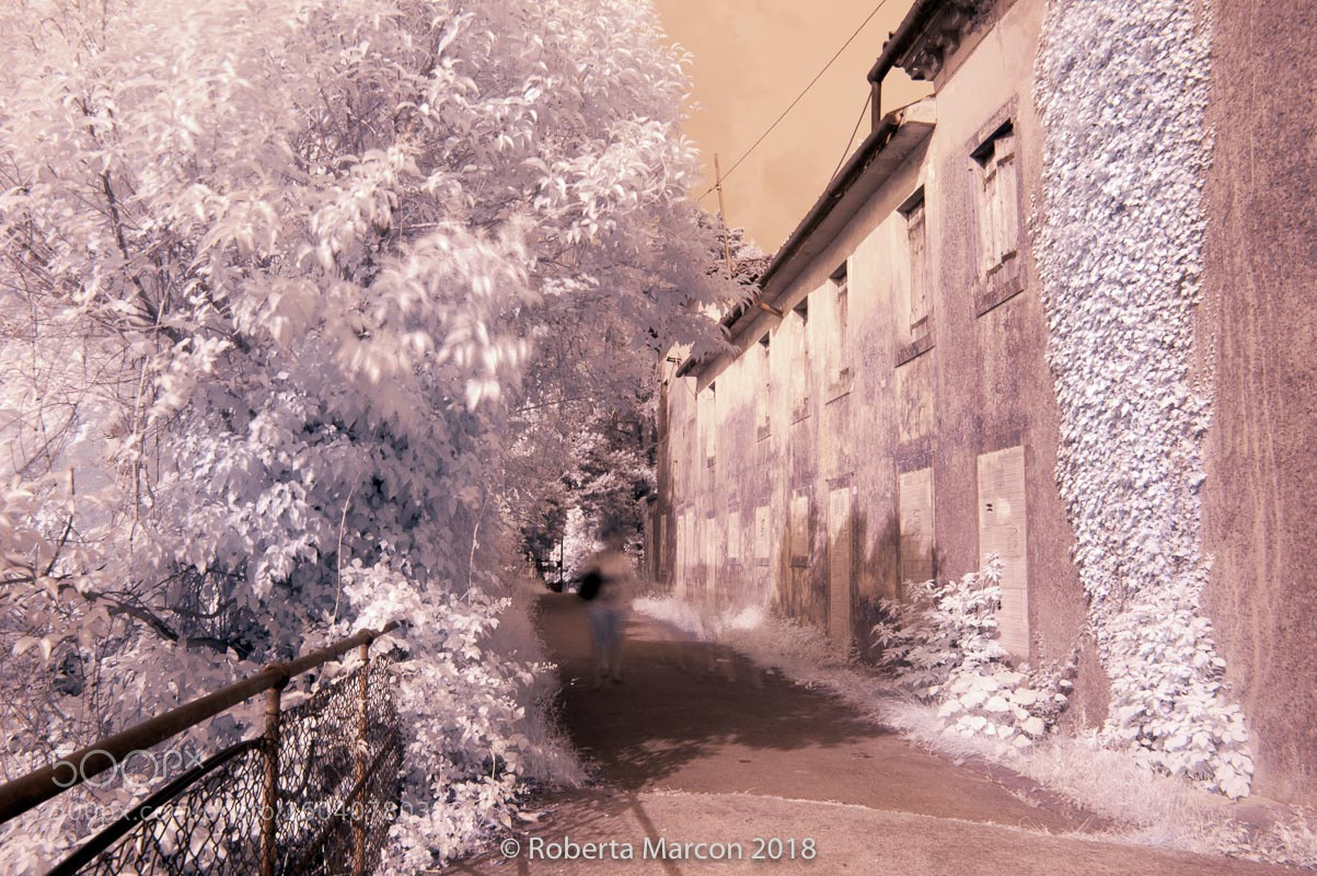 Nikon D50 sample photo. Infrarossi photography