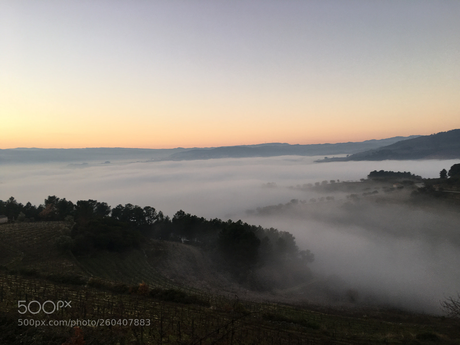 Apple iPhone SE sample photo. Sea of clouds photography