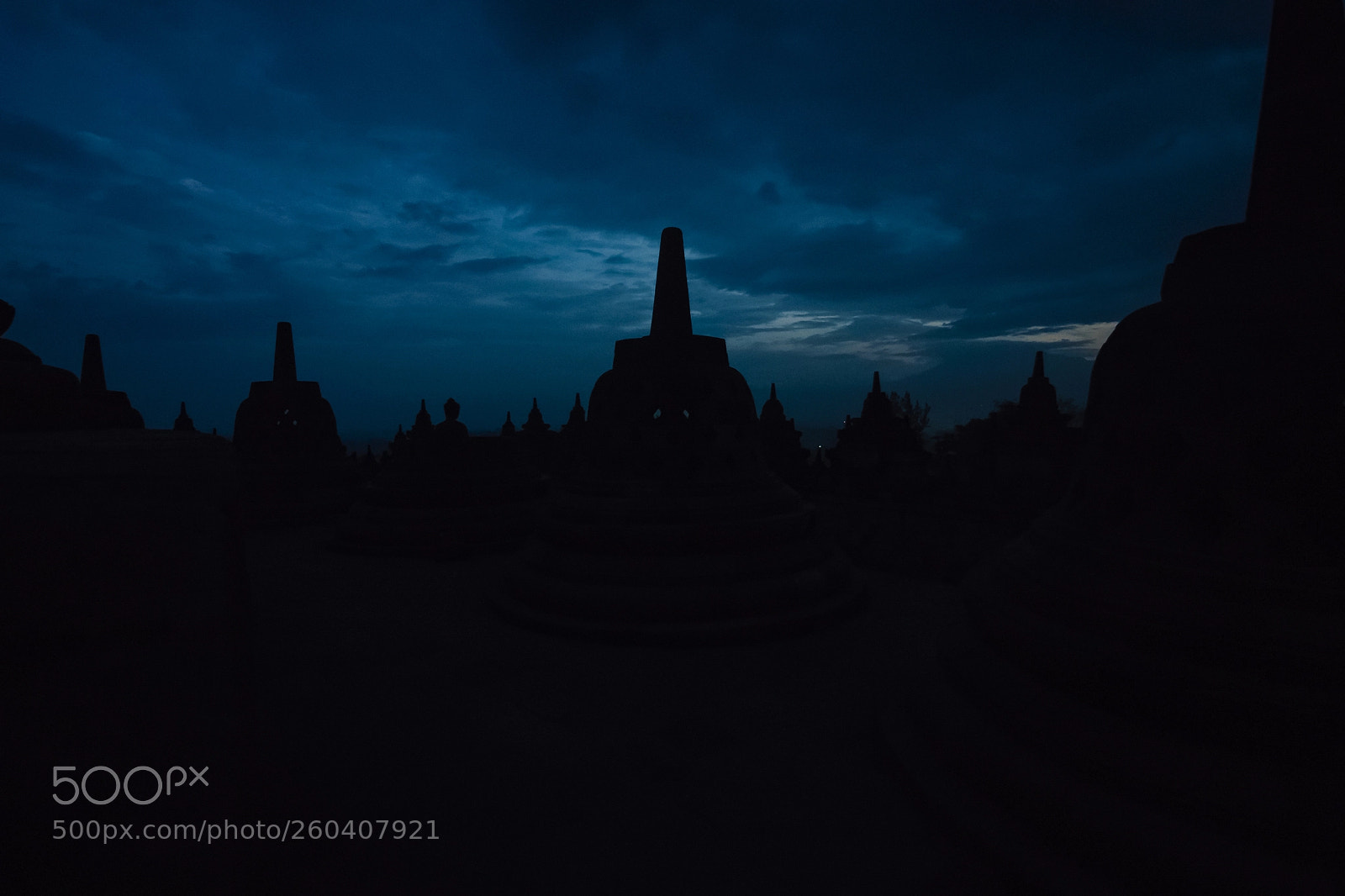 Canon EOS 1100D (EOS Rebel T3 / EOS Kiss X50) sample photo. Stupidity photography