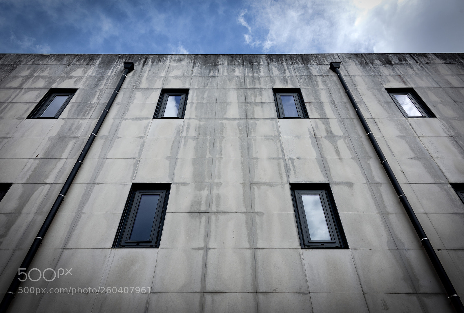 Nikon D810 sample photo. Hold your head up photography