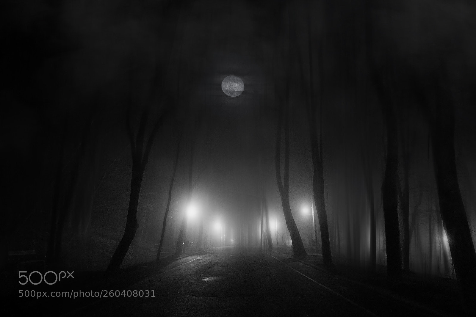 Nikon D7200 sample photo. Moon chant photography