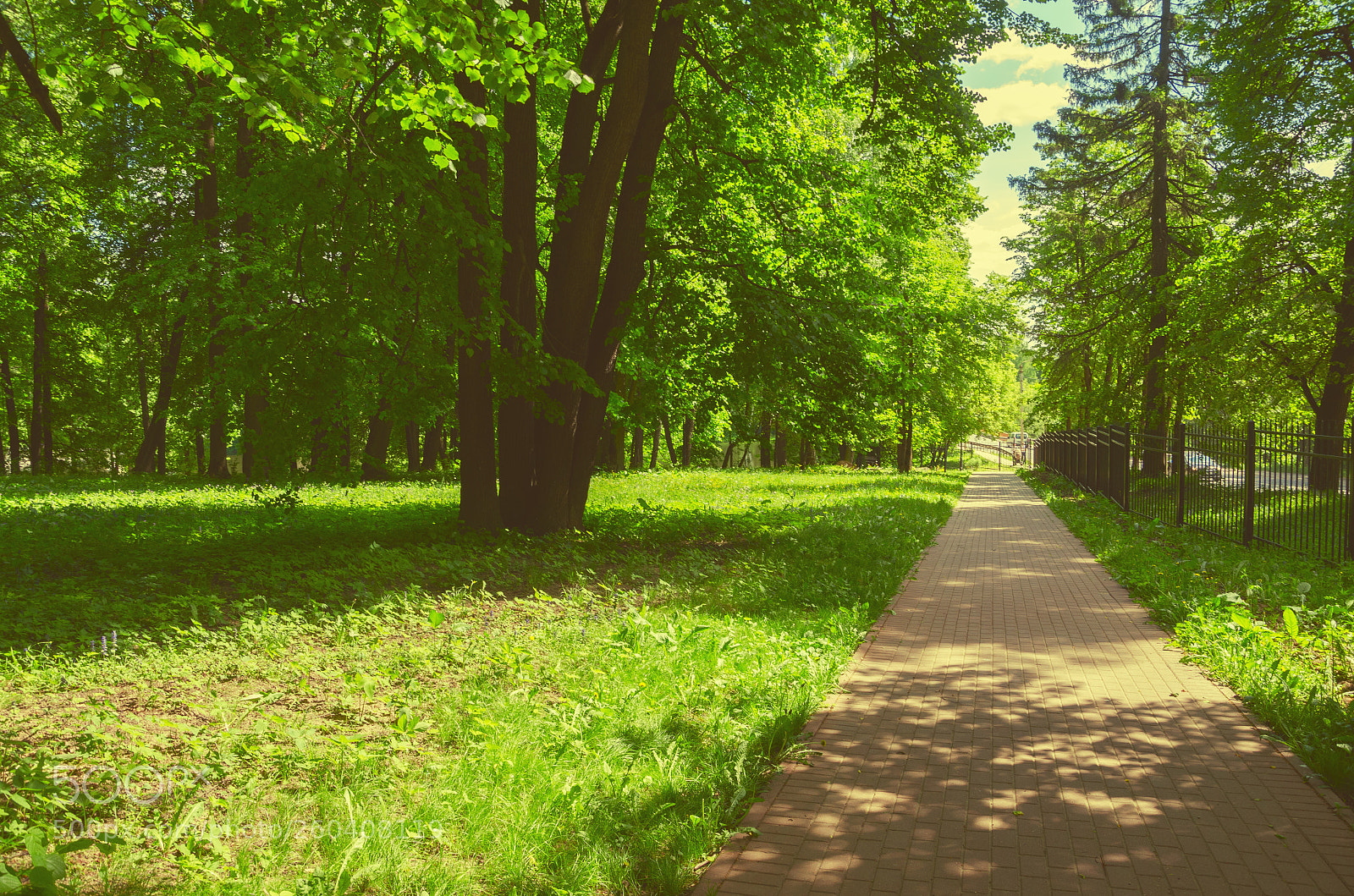 Nikon D5100 sample photo. Shady park photography