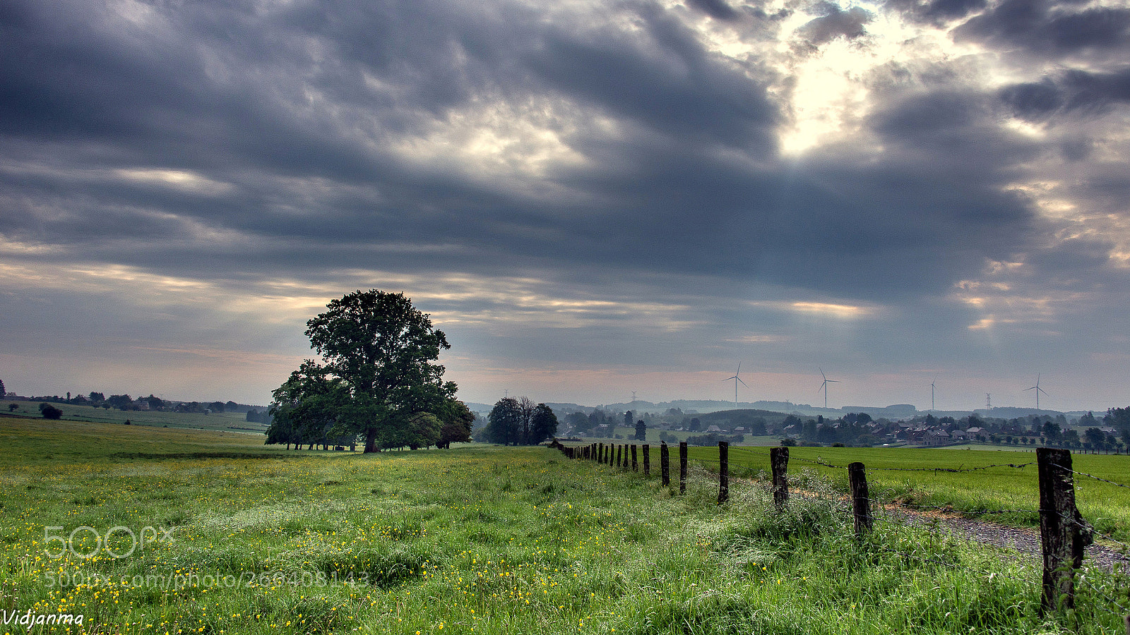 Nikon D610 sample photo. Another morning photography
