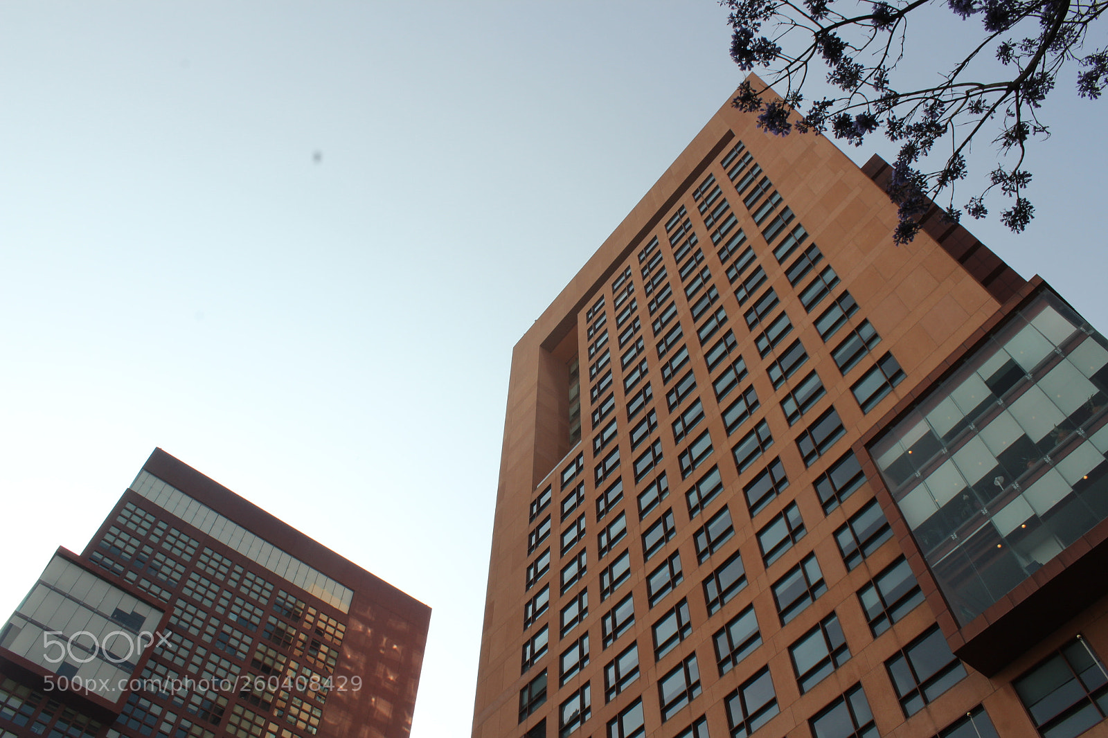 Canon EOS 1200D (EOS Rebel T5 / EOS Kiss X70 / EOS Hi) sample photo. Love c.d.m.x photography