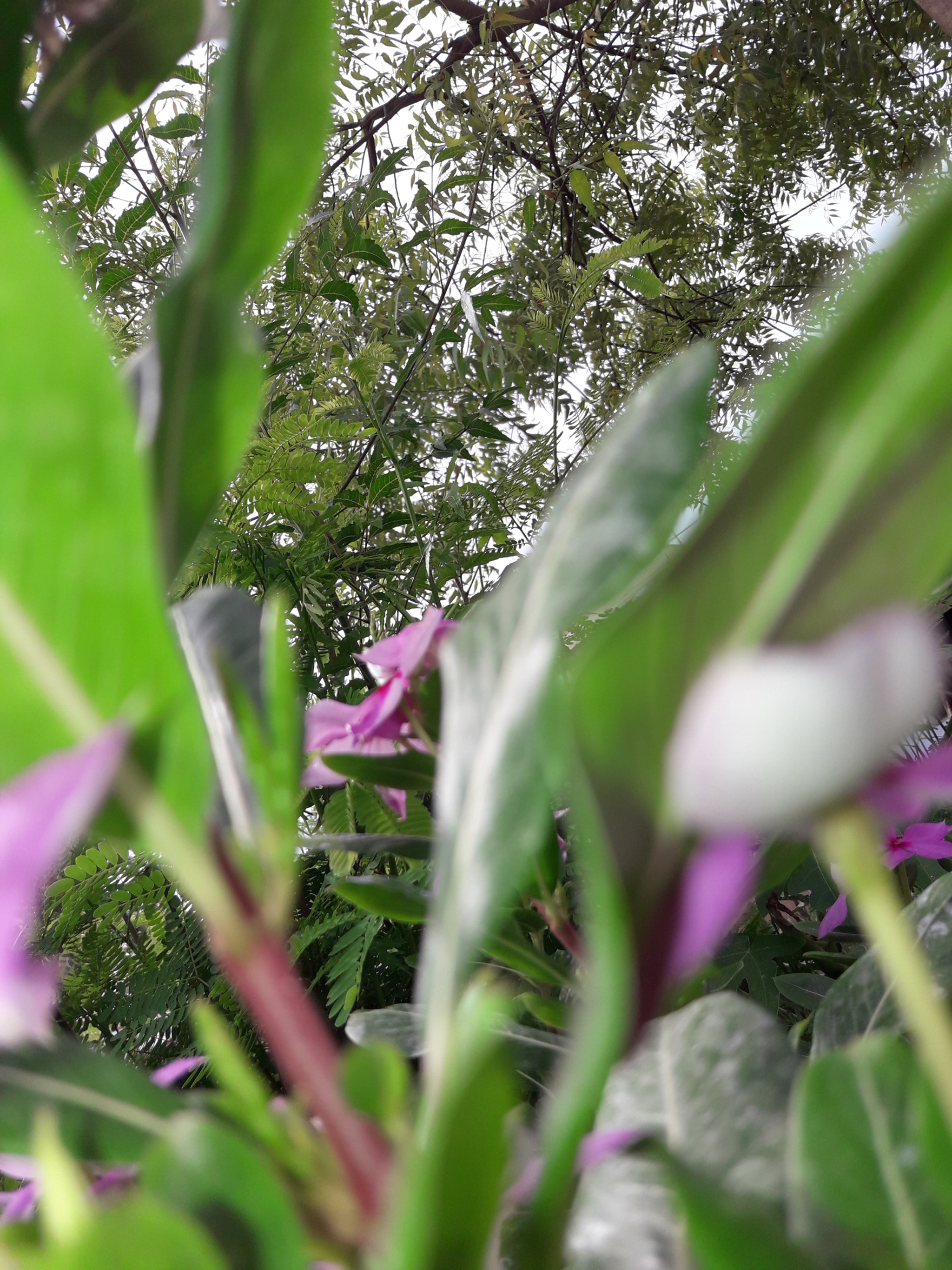 Samsung Galaxy J7 Neo sample photo