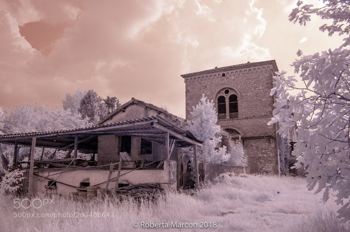 Nikon D50 sample photo. Infrared photography