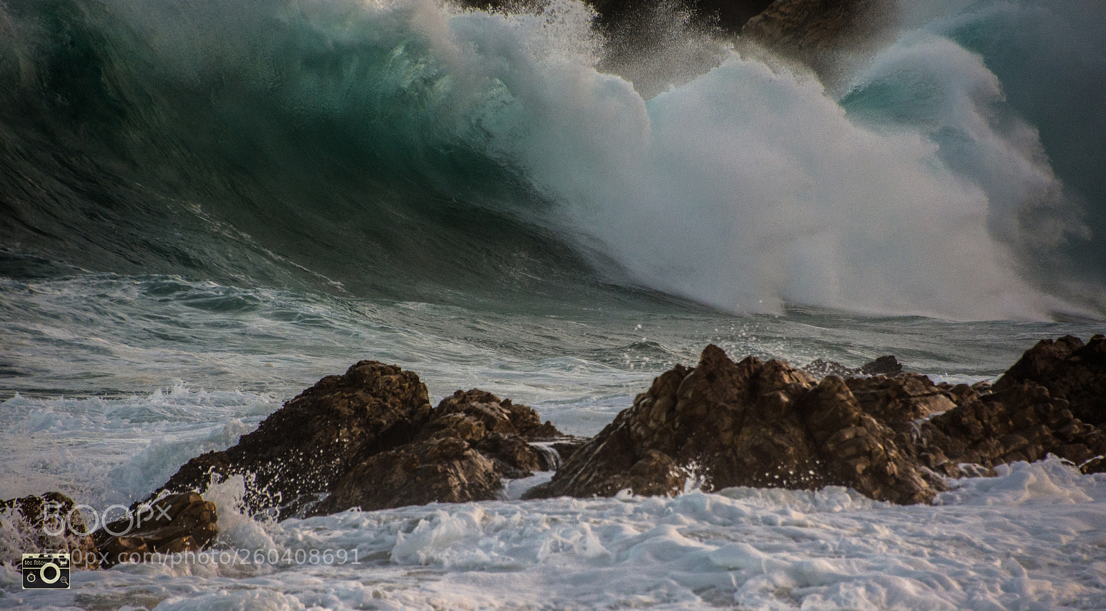 Nikon D7200 sample photo. Closing out photography