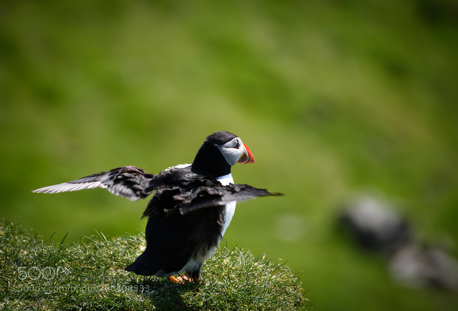 Nikon D7200 sample photo. Takeoff photography