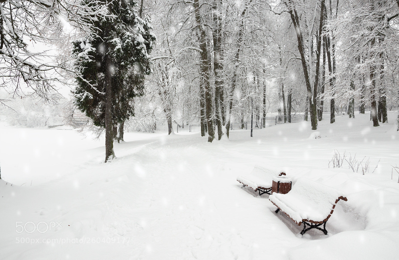 Nikon D5100 sample photo. Snowfall photography