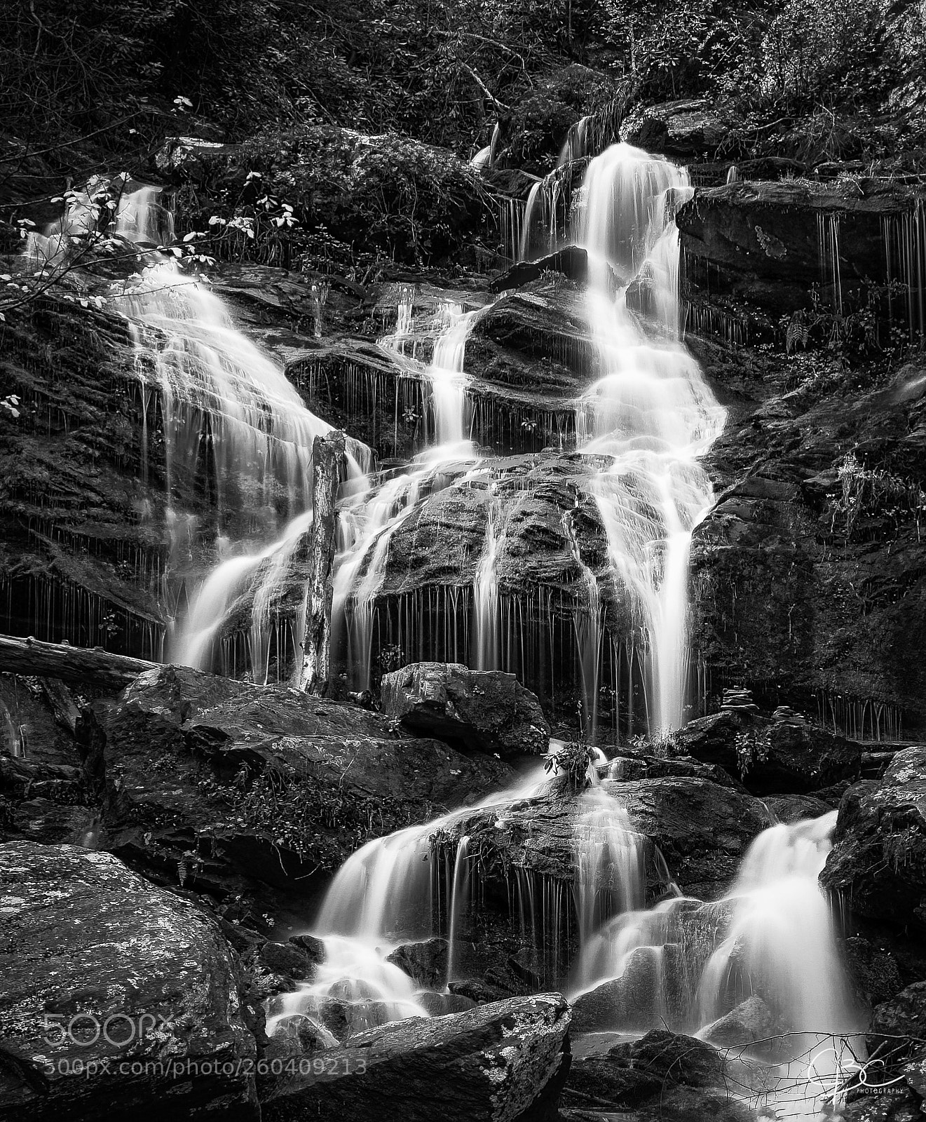 Sony a7R II sample photo. B&w catawba photography