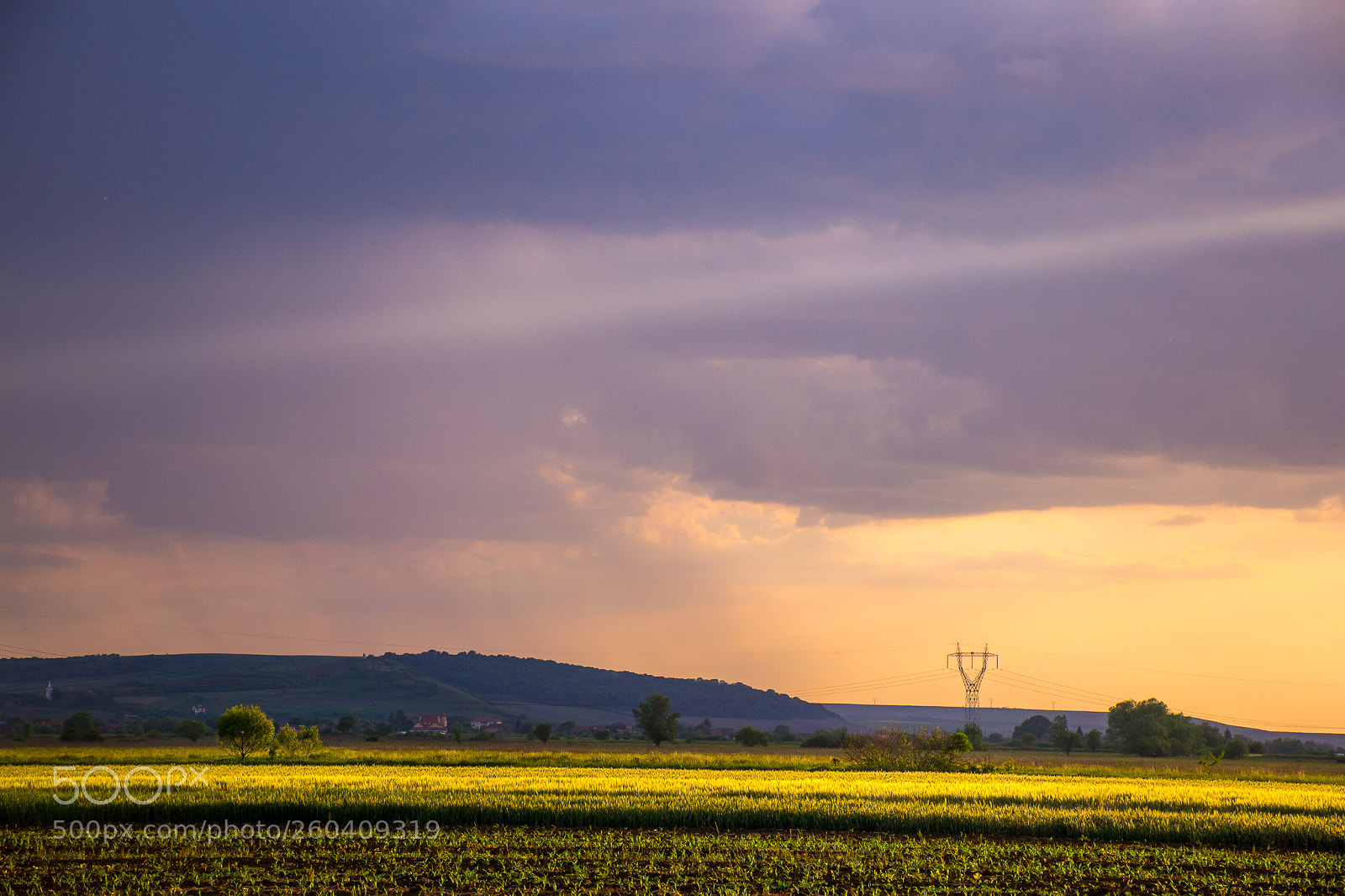 Nikon D3100 sample photo. After the rain photography