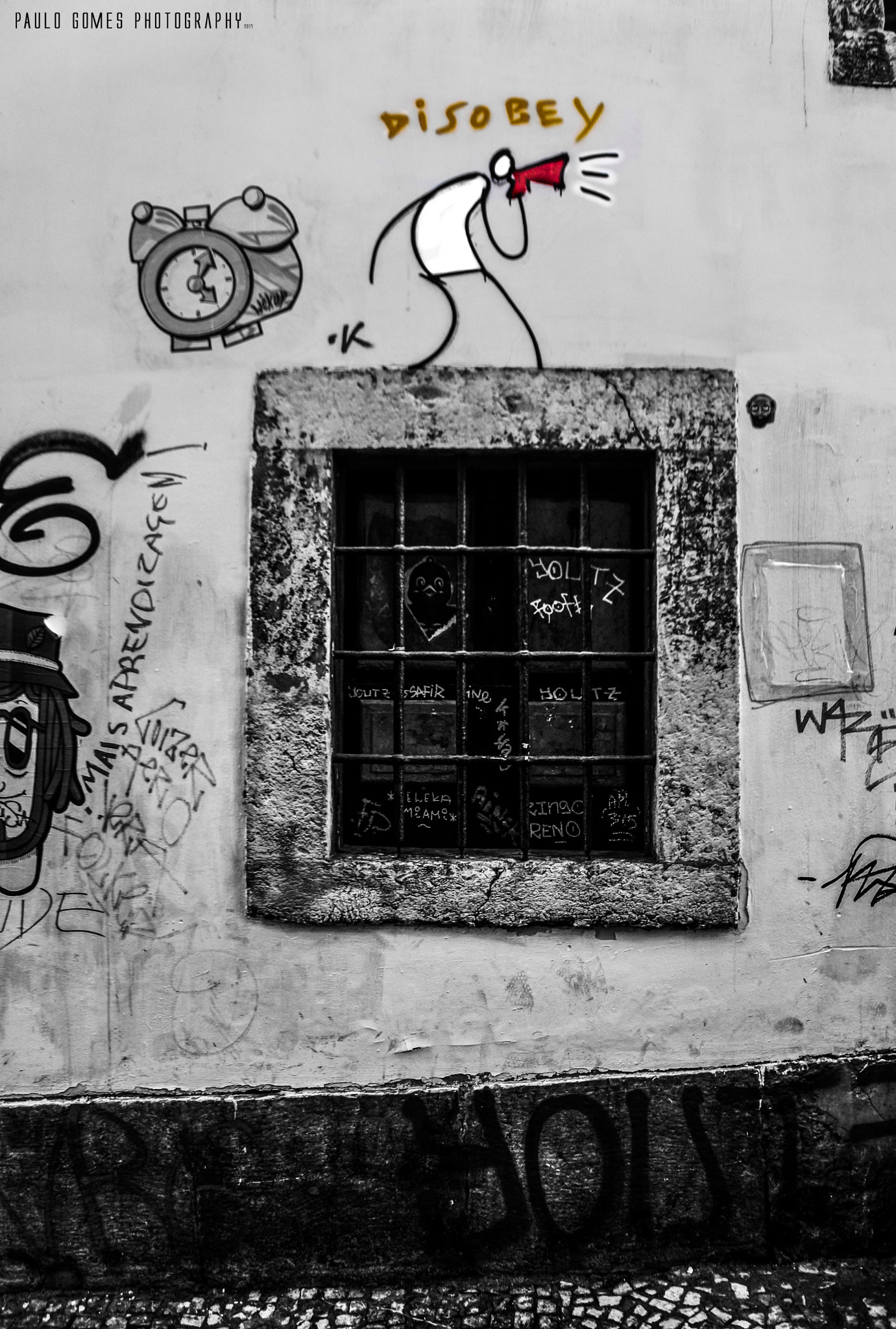 Nikon 1 J5 sample photo. Gritar desobedecer [shout disobody] photography