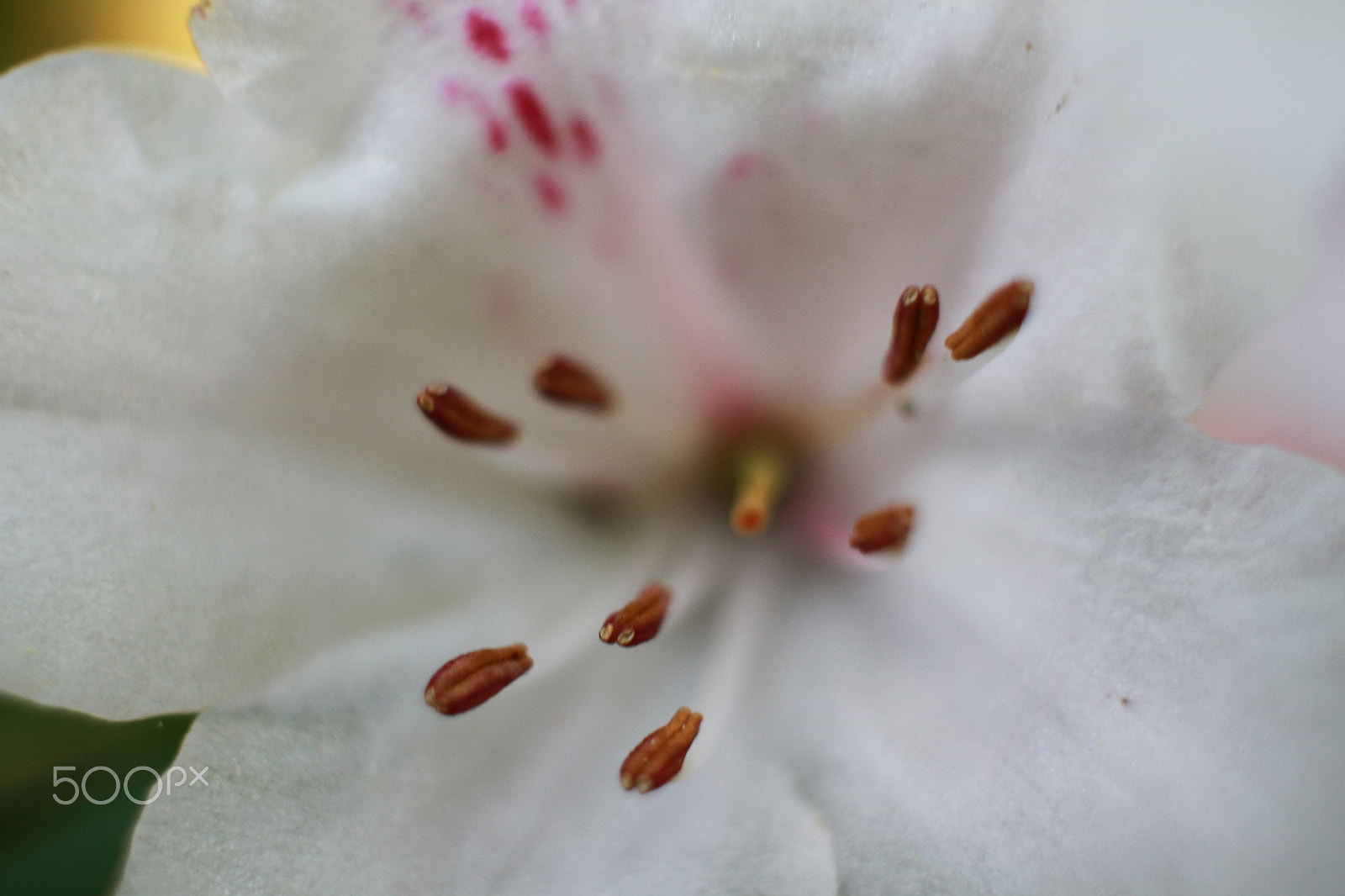 Canon EF-S 24mm F2.8 STM sample photo. No ar photography