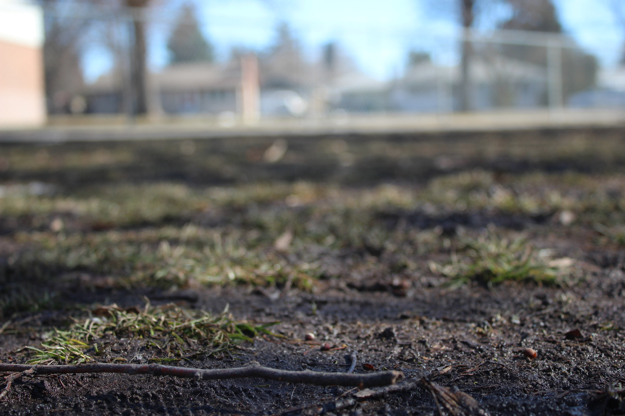 Canon EF-S 18-55mm F3.5-5.6 IS sample photo. Photo critique photography