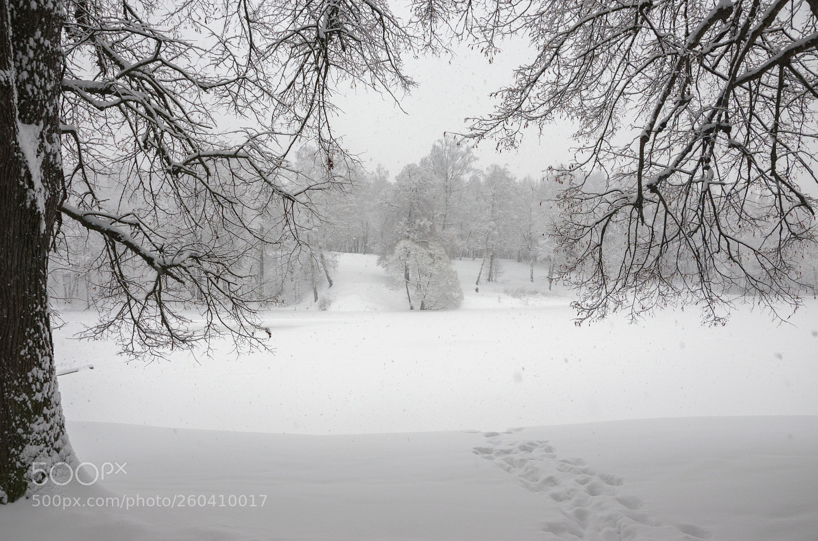 Nikon D5100 sample photo. Winter scenery photography