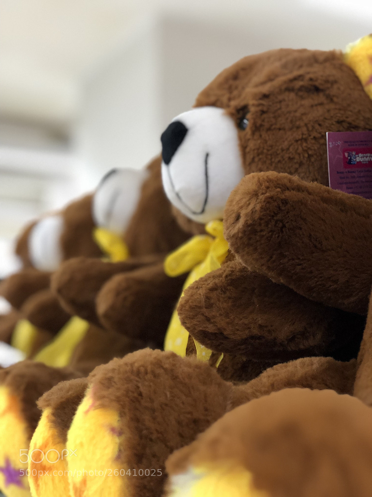 Apple iPhone X sample photo. Teddy..!  photography