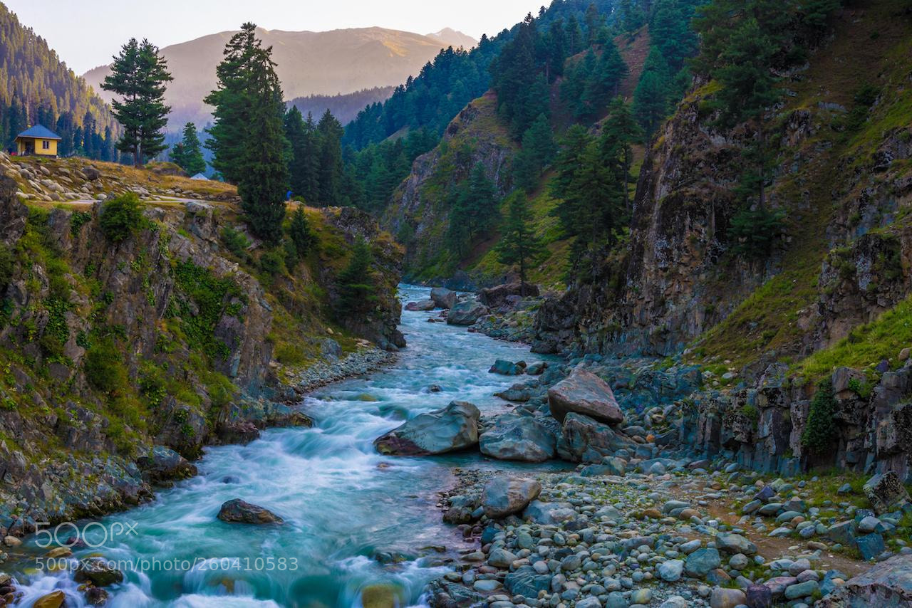 Nikon D600 sample photo. The brook photography