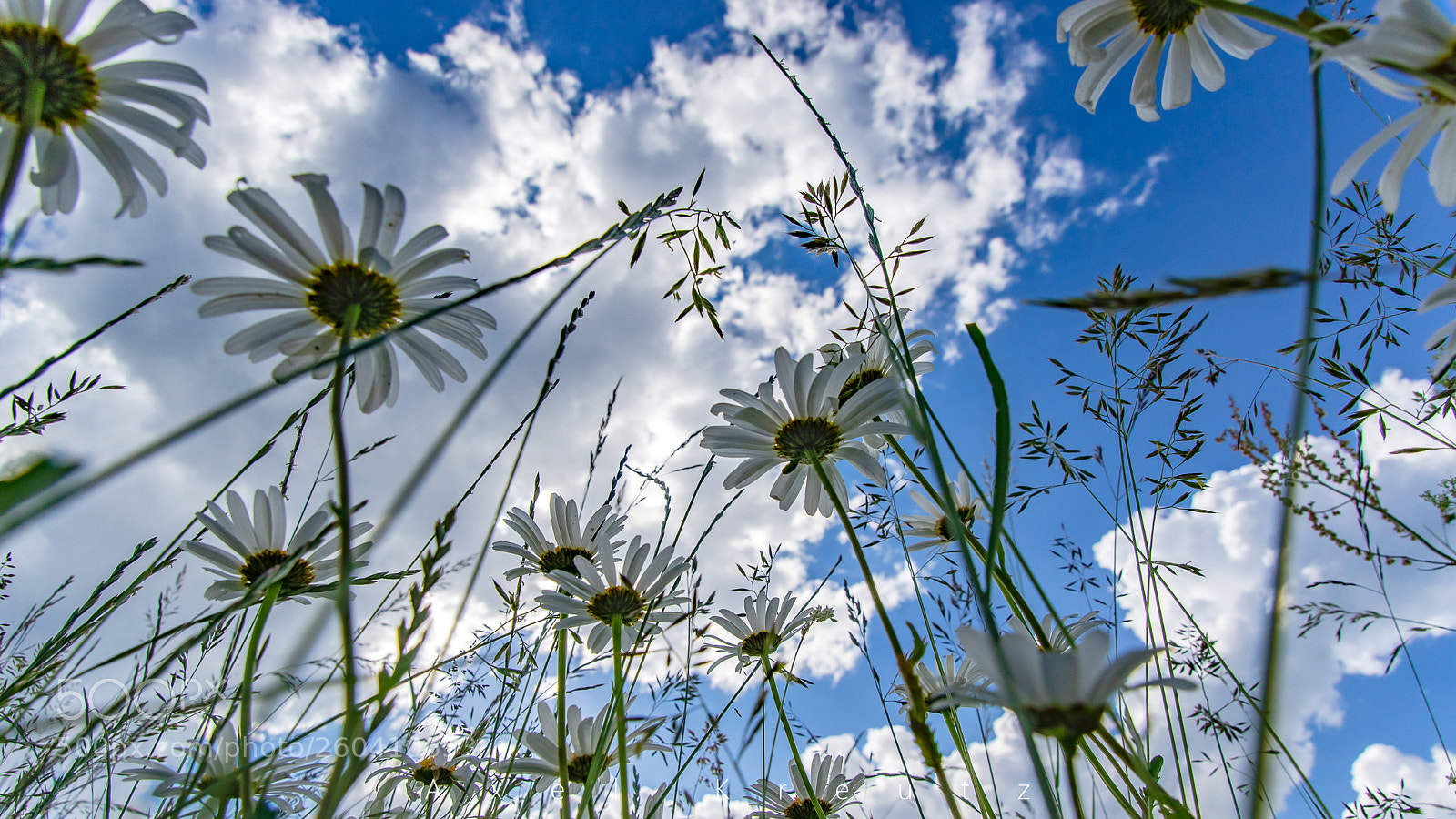 Pentax K-3 II sample photo. Perspektiefe photography