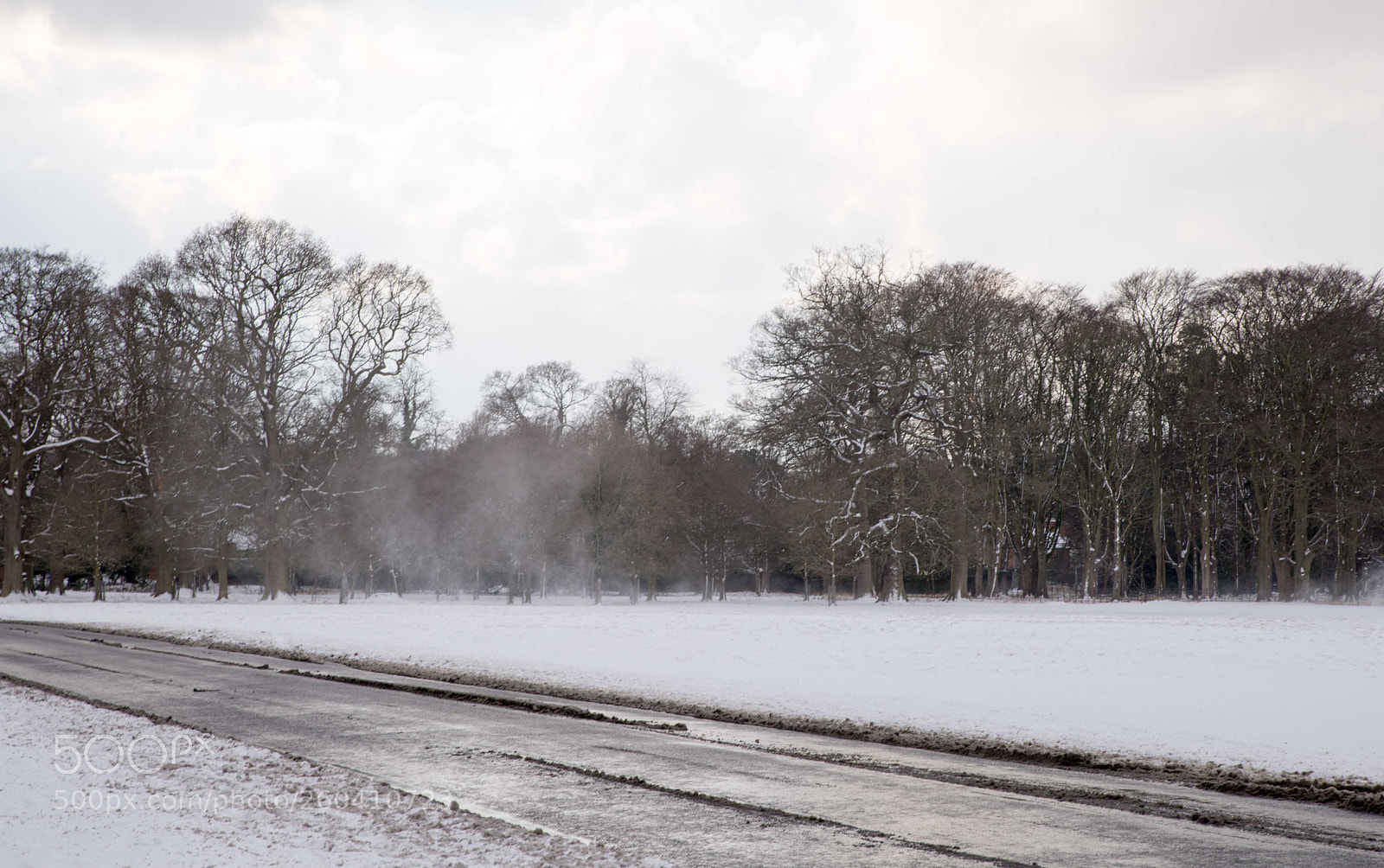 Nikon D610 sample photo. No filter winter photography