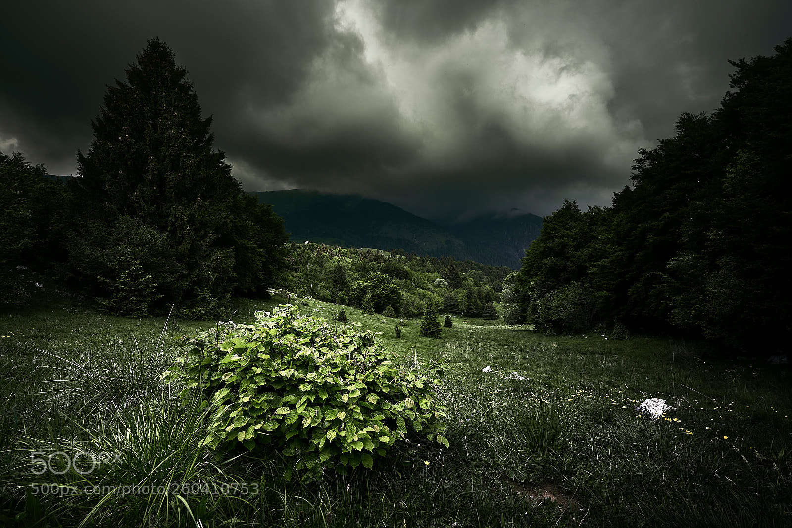 Sony a7R II sample photo. Monte baldo iii photography